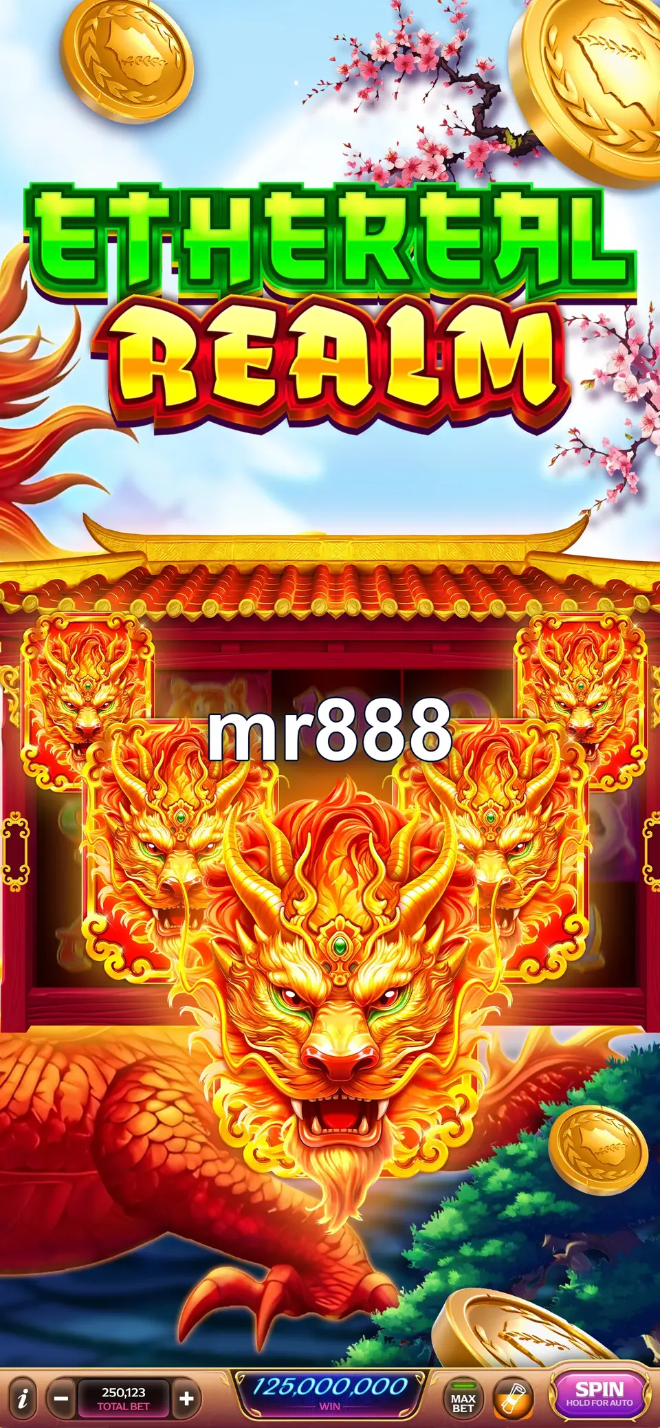 mr888 Masuk